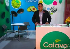 Calavo Growers from California exports fresh and processed avocado products to Asia. Production is coming from both California and Mexico. According to Fabian Garcia, Sales Export Manager, avocado pulp in sachets is a popular product for Asia as it can be used for beverages such as milk tea and smoothies.来自加利福尼亚的 Calavo Growers 向亚洲出口新鲜和加工的牛油果产品。生产来自加利福尼亚和墨西哥。根据销售出口经理 Fabian Garcia 的说法，袋装牛油果果肉是亚洲流行的产品，因为它可用于奶茶和冰沙等饮料。