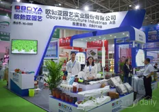 Echo & Liu with Oboya Horticulture Industries.