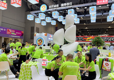 宝菜是佳农集团旗下品品牌，种植和出口多种蔬菜及蔬菜加工品。/ Baocai is a brand of Good Farmer Group, which grows and exports a variety of vegetables and processed vegetable products.