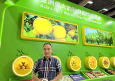 秋月梨是山东省青青大地果蔬有限公司的主打产品。除秋月梨外，公司还出口包括黄金冰糖梨，甘露梨等多种品种的鲜梨产品。/ Qiuyue pears are the flagship product of Shandong Qingqing Dadi Fruit and Vegetable Co., Ltd. In addition to Qiuyue pears, the company also exports a variety of fresh pear products, including Golden Bingtang pears and Ganlu pears.