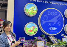 蓝莓是果寻梦公司的主打产品之一。公司在云南种植多品种的蓝莓。/ Blueberries are one of the main products of Guoxunmeng Co., Ltd. The company grows a variety of blueberry varieties in Yunnan.