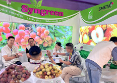 冬枣和荔枝是Syngreen公司的主打出口产品。/ Winter dates and lychees are Syngreen's main export products.