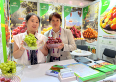 来自陕西秦霞进出口贸易有限公司的赵旭霞女士（左一）和参展同事。除近期的主打产品葡萄外，公司还出口柠檬，沃柑，苹果等产品。/ Ms. Xuxia Zhao (first from left) from Shaanxi Qinxia Import and Export Trading Co., Ltd. and her colleague at the exhibition. In addition to grapes, the company also exports lemons, Wogan, apples, and other products.