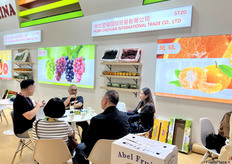 湖北楚辕国际贸易有限公司的展位。/ The booth of Hubei Chuyuan International Trade Co., Ltd.