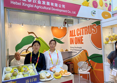 鲜梨和柑橘是河北星泰农业发展有限公司的主营产品。/ Fresh pears and citrus fruits are the main products of Hebei Xingtai Agricultural Development Co., Ltd.