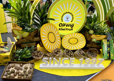 齐峰果业的猕猴桃品种展示区。/ Qifeng Fruit Industry’s kiwi variety display area. 