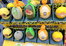 上海呈越进出口贸易有限公司的蜜瓜展示区。/ The honeydew melon display area of ​​Shanghai Chengyue Import and Export Trading Co., Ltd. 