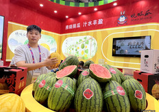 这是晓吸瓜公司第二次参展。公司带来了别致的黄皮西瓜，吸引了众多客商问询。黄皮西瓜是公司的新品种。相较于普通绿皮西瓜，黄皮西瓜汁更多，脆度更高。/ This is the second time Xiao Xi Gua attending this exhibition. The company showcased its unique yellow-skinned watermelons, attracting numerous inquiries. This new variety is juicier and crisper than regular green-skinned watermelons.