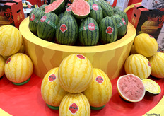 晓吸瓜公司的西瓜展示区。公司的黄皮西瓜受到众多访客问询。/ Xiao Xi Gua's watermelon display area. The company's yellow-skinned watermelons attracted many visitors. 