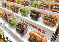 樱桃番茄是春沐源科技农业的主营产品。公司使用从海外引进的品种，在中国多个地区进行本地化种植。/ Cherry tomatoes are the main product of Spring Woods. The company uses varieties imported from overseas and cultivates them locally in various regions of China.