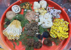 德添菌菇带来多种菌菇样品做展示。/ Detan Mushroom brought a variety of mushroom samples for display.