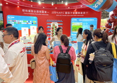 樱桃番茄种植上一棵大的展位。樱桃番茄试吃吸引了众多访客。/ Cherry tomatoes are displayed on a large stand. The cherry tomato tasting attracted many visitors.