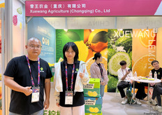 柠檬是雪王农业有限公司的销售负责人马杰经理（左一）和同事刘经理（右一）。雪王农业出口柠檬至多个东南亚市场。/ Lemon is primary product of Xue Wang Agriculture Co., Ltd. On the pictures are sales manager Jie Ma  (first from left) and his colleague, Manager Liu (first from right). Xue Wang Agriculture exports lemons to various Southeast Asian markets.