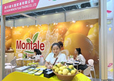 柠檬是四川檬泰园贸易有限公司的主营产品。/ Lemon is the main product of Sichuan Mengtaiyuan Trading Co., Ltd.