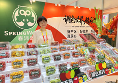 樱桃番茄是春沐源科技农业的主营产品。公司使用从海外引进的品种，在中国多个地区进行本地化种植。/ Cherry tomatoes are the main product of Spring Woods. The company imports the varieties from overseas and cultivates them locally in various regions of China.