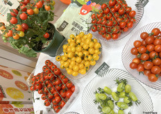 春沐源科技带来了包括惊喜系列，调色系列等多个系列的小番茄在展位进行展示和试吃。/ Spring Woods brought several series of cherry tomatoes to the booth for display and tasting.