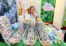 山东七河生物出口多品类的菌棒至海外市场。/ Shandong QiHe Biological Technology Co.,Ltd. exports a variety of mushroom sticks to overseas markets.