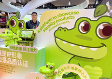 嘉果公司的牛油果IP形象牛油果小鳄鱼。/ SupaFresh’s avocado IP image is the little avocado crocodile.