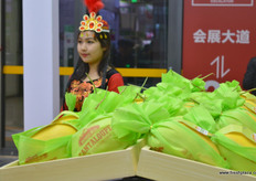 Hami melon // 哈密瓜