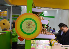 It is playtime // 游戏时间