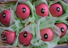 Xin Ye Yuan's most popular apple brand measured by volume // 兴业源最受欢迎的苹果品牌