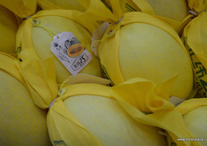 Hami melon by Jiu Tai // 久泰农业的哈密瓜