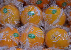 Tangerine by Jiu Tai // 久泰农业的鲜橙