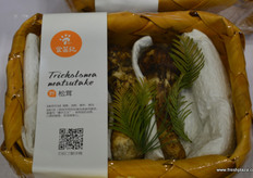 食菌记的包装精致的松茸