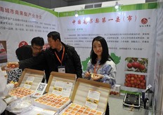 Small decorated apples // 被装饰的小苹果