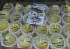 Tiger plums // 虎皮李子