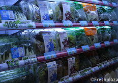 Different salad packaging from Shenzhen Chengwu Gold Rock Agriculture Limited with their Nature Star brand.深圳市诚武金石农业有限公司的在他们的品牌自然之星下营销的不同色拉包装