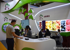 Ann from Anhui Pine Summit Co., Ltd. helping a customer at the counter. They import fruits from all over the world to supply the Chinese market. They import from North and South America, South Africa, Germany, France, Italy, Egypt, Vietnam, Australia and New Zealand.来自安徽徽岳贸易有限公司的总经理沈力在柜台帮助一位客人。他们从世界各地进口水果以供应中国市场。他们从北美和南美、南非、德国、法国、意大利、埃及、越南、澳大利亚和新西兰进口。