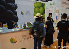 Team of Lurra (Shenzhen) Trading Co., Ltd. busy presenting their products to visitors. They mainly trade grapes, persimmon, strawberry and loquat.乐拉（深圳）贸易有限公司团队忙着向参观者展示他们的产品。他们主要经营葡萄、柿子、草莓和枇杷。