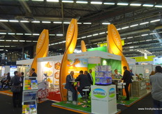 荷兰展馆的一部分