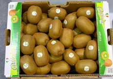 来自Adfruit di Cordioli Adelino的意大利猕猴桃