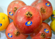 来自El-Madawy Co的埃及石榴。