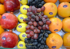 来自Daltex的新鲜农产品