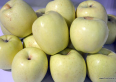 山东荣成市裕平苹果种植专业合作社所种植的苹果，该合作社是来自山东省的一家种植者。