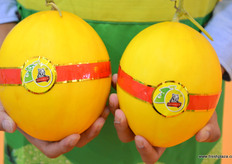 来自海南王品农业科技开发有限公司的哈密瓜