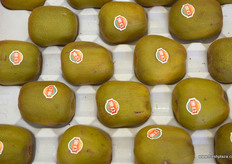 来自金公的猕猴桃