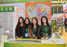 iFresh团队：谢平、夏露、何秀玲和Irina