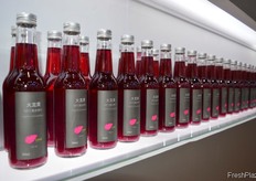 Bottles with dragon fruit drink of Bei Wei 18 // 海南北 纬十八度果业有限公司的火龙果饮品。