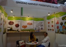 Sasa Jiang, Managing Director of Qingdao Harvest Foodstuffs Co.,Ltd in conversation with a client. // 青 岛华松食品有限公司的执行董事Sasa Jiang与一个客户进行交谈。