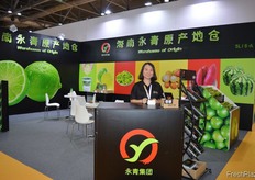 Yongqing Group // 海南永青现代热带农业园区股份有限公司