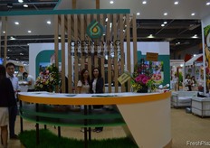 Michelle Lo from Greenliving Investment Group Limited // 绿德丰投资有限公司的Michelle Lo。