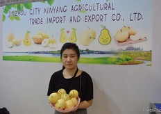 Jinzhou City Xinyang Agricultural Trade Import and Export Co., Ltd. // Jinzhou City Xinyang Agricultural Trade Import and Export Co., Ltd