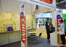 Liu Xiaoli and colleague from China Sichuan Xin Xi Yi Agricultural Development Co., Ltd. busy talking with visitors. They are specialised in growing, packing, selling and exporting lemons.来自四川省鑫希夷农业开发有限公司的销售经理刘晓莉忙于与到访者交谈。他们专门种植、包装、销售和出口柠檬。