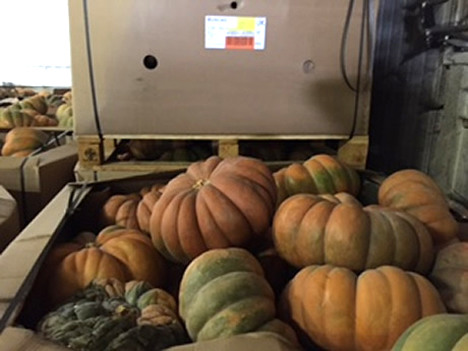 888.jpg?preset=OgImage