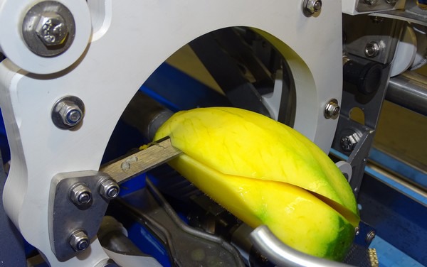 荷兰公司zti推出全新芒果切割器mango peeler-de-cheeker 20