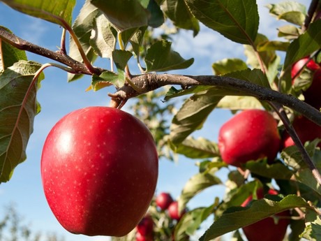 0815_yumsun01.jpg?preset=OgImage